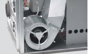 Detailsansicht